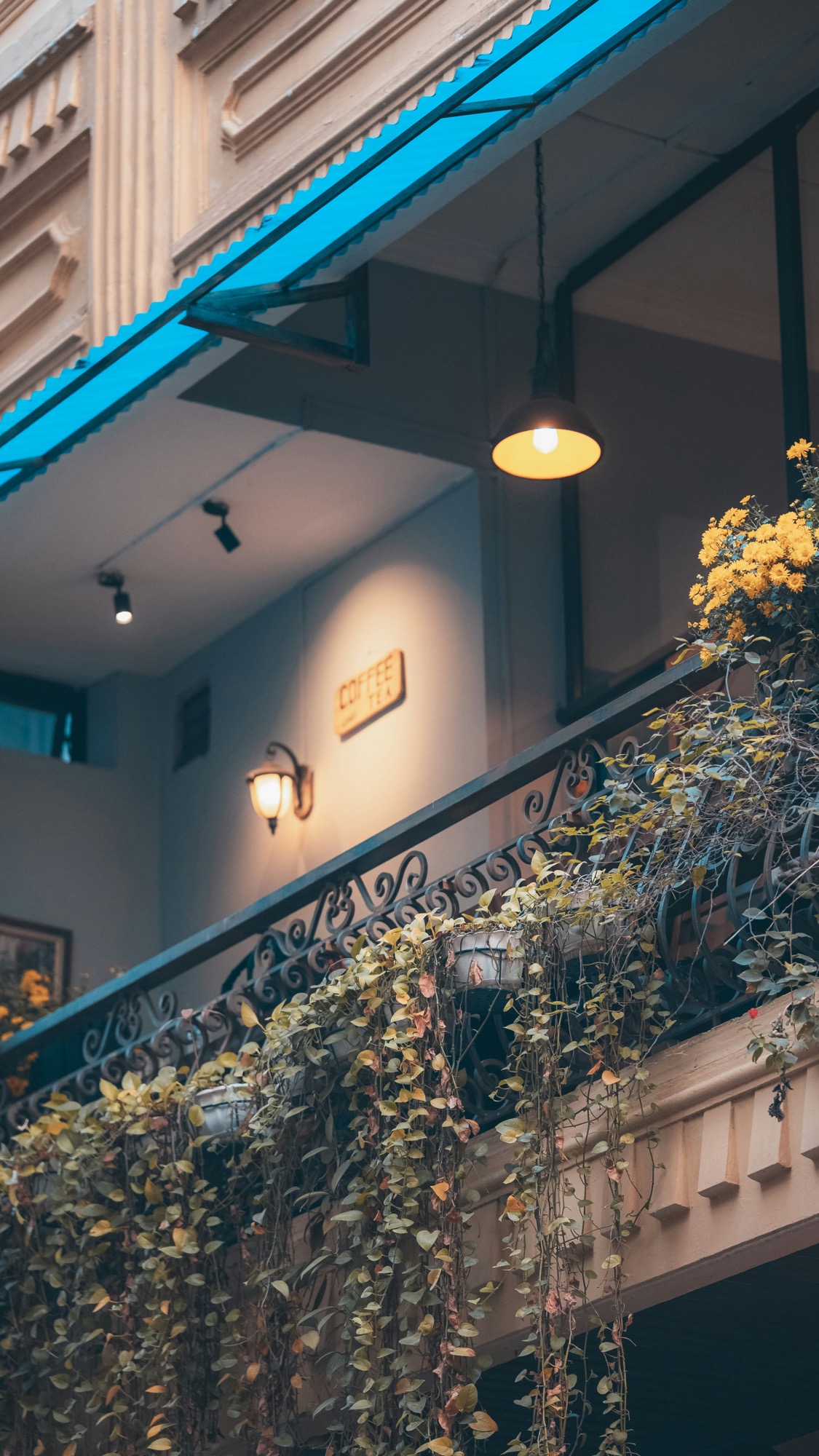 Warm balcony lighting with trailing plants