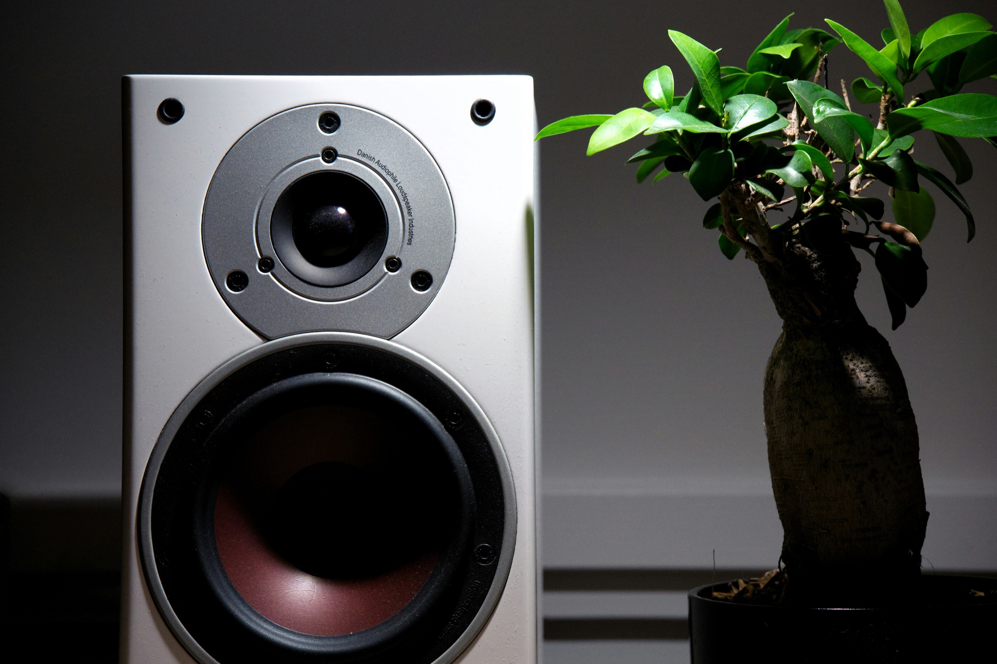 A discreet speaker placed beside a green plant